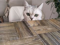 -小时光咖啡馆(北锣鼓巷店)