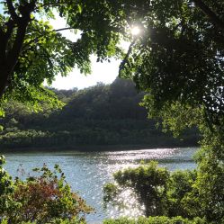 -佛灵湖水上乐园