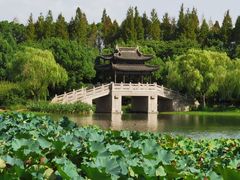 -尚湖风景区