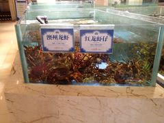iphone_upload_pic-旺顺阁海鲜广场(亚运村店)