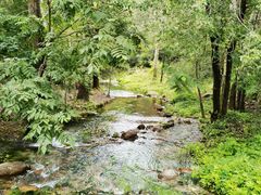 -玉渡山自然风景区