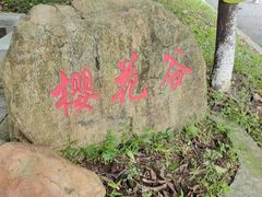 -广州市帽峰山景区