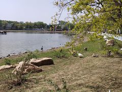 -长春市南湖公园