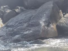-麦哲伦丝绸度假村