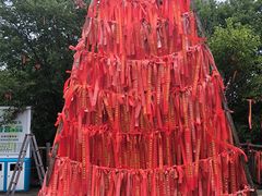 -帽儿山国家森林公园