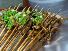 -晓靖轩烧烤(沙河风情店)