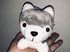 -PAWTOY爪e玩偶店(天兴罗斯福店)