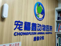 -宠福鑫康馨动物医院·骨科·眼科