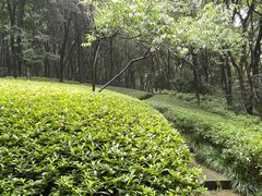 -杭州半山国家森林公园