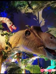 -恐龙探索乐园(磁器口店)