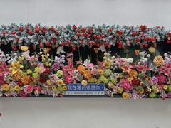 -青果巷历史文化街区