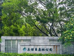 -王借岗森林公园