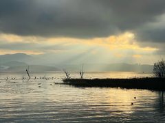 -大理洱海