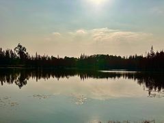 -白鹭湾湿地公园