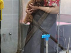 -宠福鑫康馨动物医院·骨科·眼科