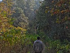 -青龙山国家森林公园