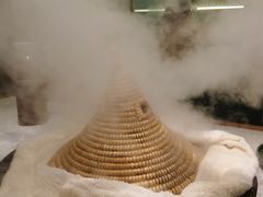 -鲜潭蒸汽石锅鱼(五道口购物中心店)