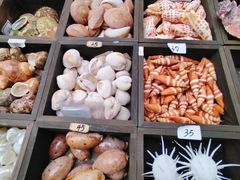 -万达广场(武汉菱角湖店)