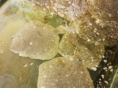 -四海鲜渔家菜(黄金海岸店)
