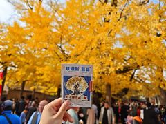 -浮来山风景区