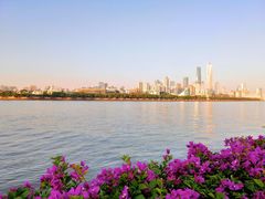 -珠江夜游广州塔·中大码头