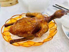 烧乳鸽-沙田新强记烧鹅海鲜酒家