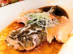 -御花园酒店(希尔顿店)