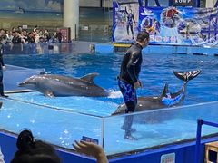 -合肥海洋世界