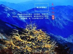 -农夫山泉峨眉山工业旅游示范基地