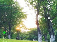 -松山湖南湖湾露营营地