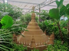 -南宫五洲植物乐园