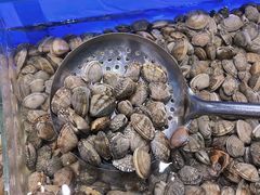 -韩盛炭火烤肉(万达广场店)