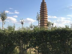 -康济寺塔