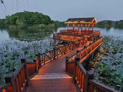 -上海市保健医疗中心