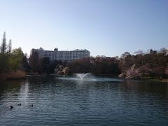 -井之头恩赐公园