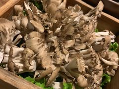 -盡膳口福跷脚牛肉火锅(合生汇购物中心店)