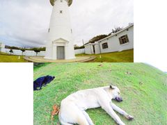 -鹅銮鼻公园