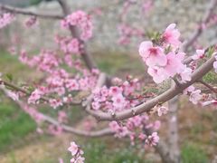 -河口景区