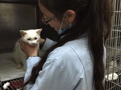 -爱侣宠医·鹦鹉专科·小型哺乳类·异宠专科(灵石路店)