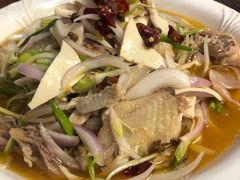 -马黑哥椒麻鸡(清江山水店)