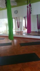 -一花一叶瑜伽生活馆