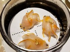 -8餐厅(新葡京酒店)