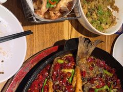 -老板恋上鱼(高新万达店)