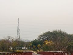 -王借岗森林公园