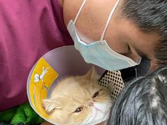 -艾贝尔宠物诊疗