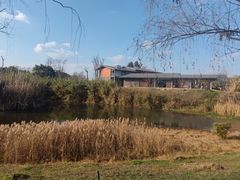 -白鹭湾湿地公园