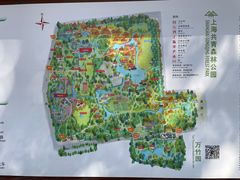 -上海共青森林公园