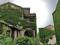 -枸杞岛