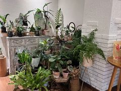 -坦克·甜品店(莲花广场店)