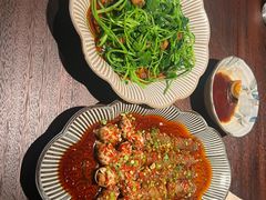 -MR鹅外